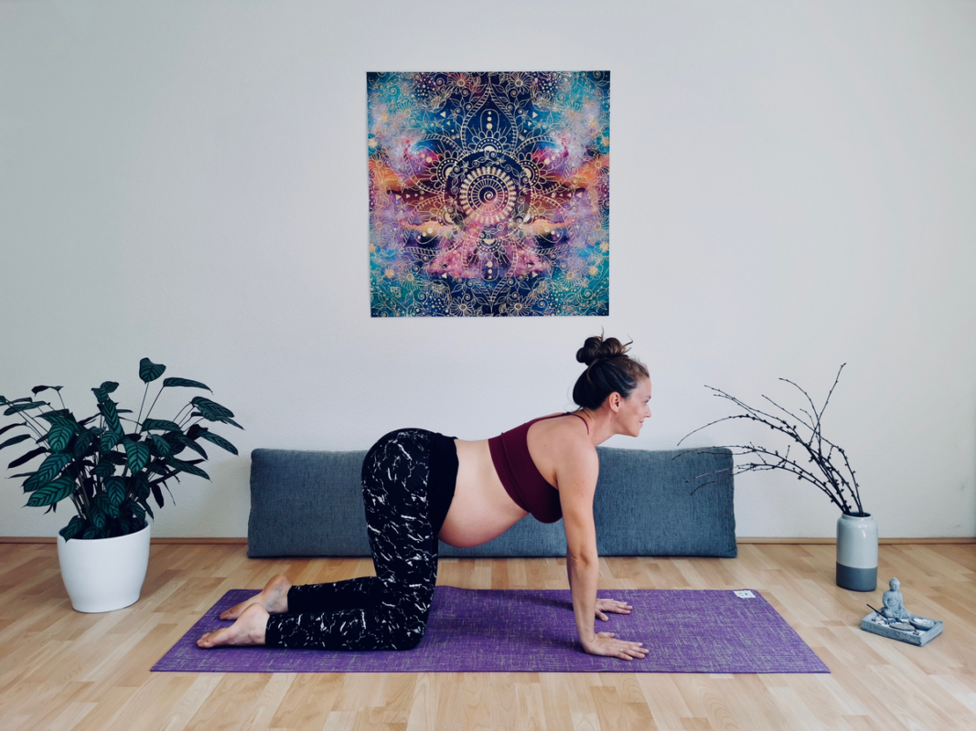 Schwangerschaftsyoga Online Katze_Kuh